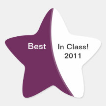 Student Achievement Star Stickers