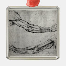 Study of Arms Christmas Ornament