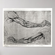 Study of Arms Print