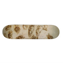 Studys of cats and dragon custom skate board