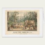 Stump of the Mammoth Tree of Calaveras (0977A) cards