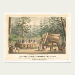 Stump of the Mammoth Tree of Calaveras (0977A) posters