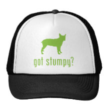 Stumpy Tail Cattle Dog Hat