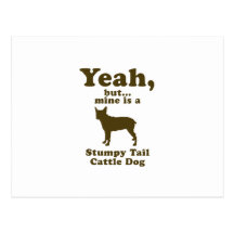 Stumpy Tail Cattle Dog Post Card