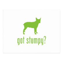 Stumpy Tail Cattle Dog Postcards