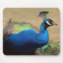 Stunning Indian Peacock Mouse Pad