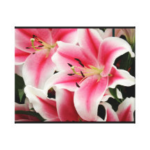 Stunning pink lily print canvas prints