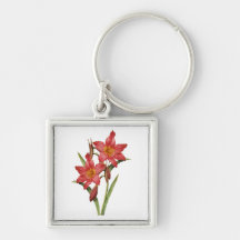Stunning Tropical Amaryllis Study Key Chains