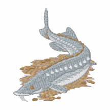 Sturgeon
