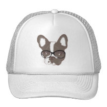 Stylish french bulldog hats