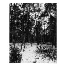 "Styx"  (Photo Print)