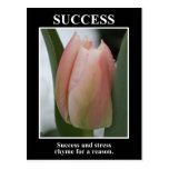 Success rhymes with stress for a reason postcards