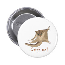 sugar glider pinback buttons
