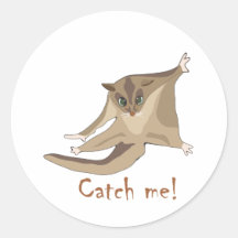 sugar glider round stickers