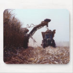 Sugarcane harvest mouse mats