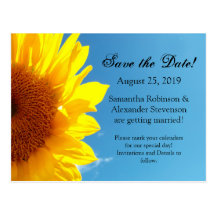 Summer Blue Sky with Yellow Sunflower Postcards