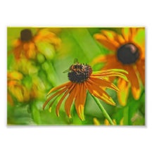 Summer Buzz Collection 7 x 5 Photographic Print