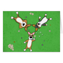 Summer Day Corgi Trio Card