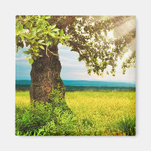 Summer Day Fridge Magnet