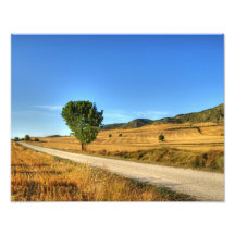 Summer Day Photo Art