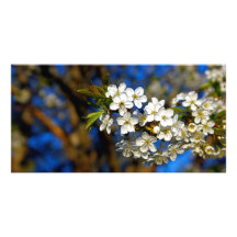 Summer Flower Photo Card Template