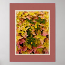 Summer Foliage Abstract Posters