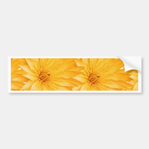 Summer fresh customisable template bumper stickers