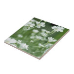 summer fresh white garden flowers ceramic tile