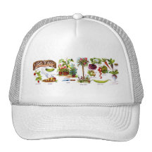 Summer Garden Botanicals Mesh Hats