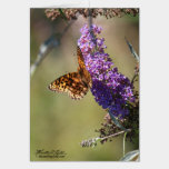 Summer Garden cards
