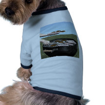 Summer Grilling Dog Clothing