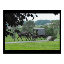 ~ Summer in Lancaster County ~ 71 Postcard