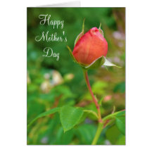 Summer Peach Rose Bud Card