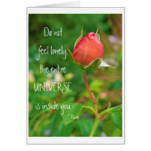 Summer Peach Rose Bud Rumi Quote Cards