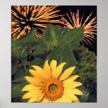 'Summer' Posters