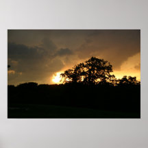 Summer Storm Poster