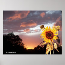 SUMMER SUNSET PRINT