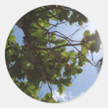 Summer Trees Round Sticker
