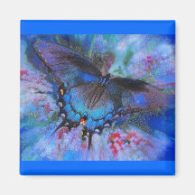 Summer wings,magnet