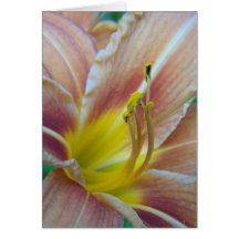 SummerFlowers009 Cards