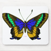 Summers Bright Colours 2 Mousemats