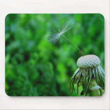 Summers Last Wish Mouse Pads