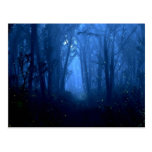 Summerwood Postcard