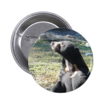 Sun Bear Pin