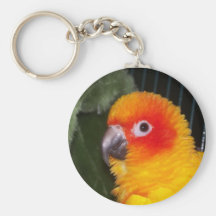 Sun Conure Key Chain