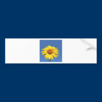 sun flower bumper stickers