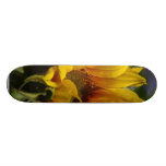 Sun Flowers Skateboard Decks