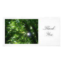 Sun in the Trees - Thank You Personalised Photo Card