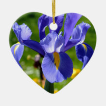 Sun light on blue iris christmas ornament