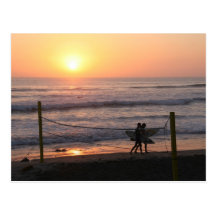 Sun Volley & Surf Postcard
